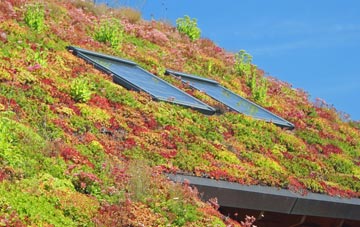West Ham living roof systems